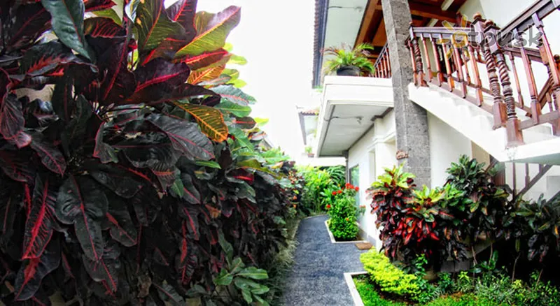 Фото отеля The Batu Belig Hotel & Spa 3* Seminyakas (Balis) Indonezija išorė ir baseinai