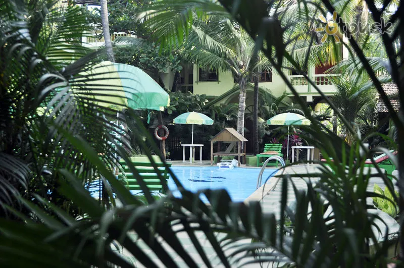 Фото отеля Classic De Evergreen 2* Північний Гоа Індія екстер'єр та басейни