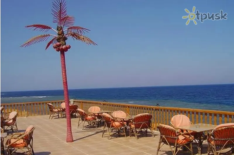 Фото отеля New Sphinx Resort 3* Dahabas Egiptas išorė ir baseinai