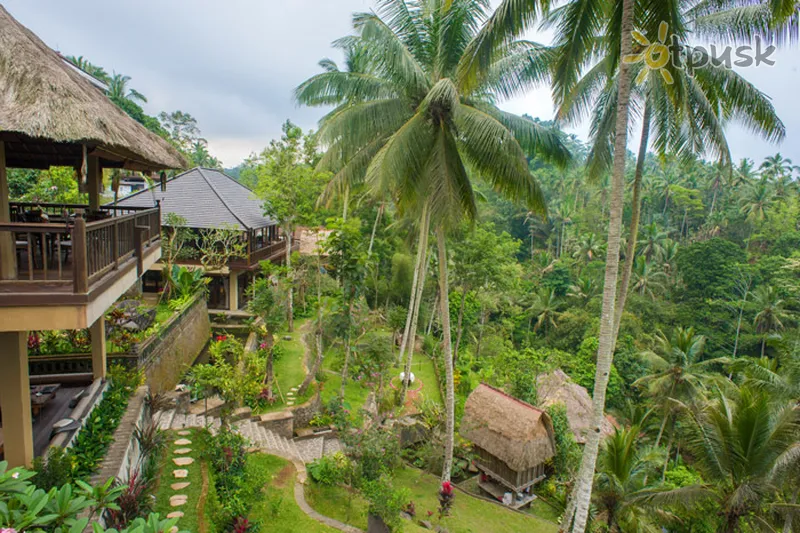 Фото отеля The Kampung Resort Ubud 3* Убуд (о. Бали) Индонезия экстерьер и бассейны
