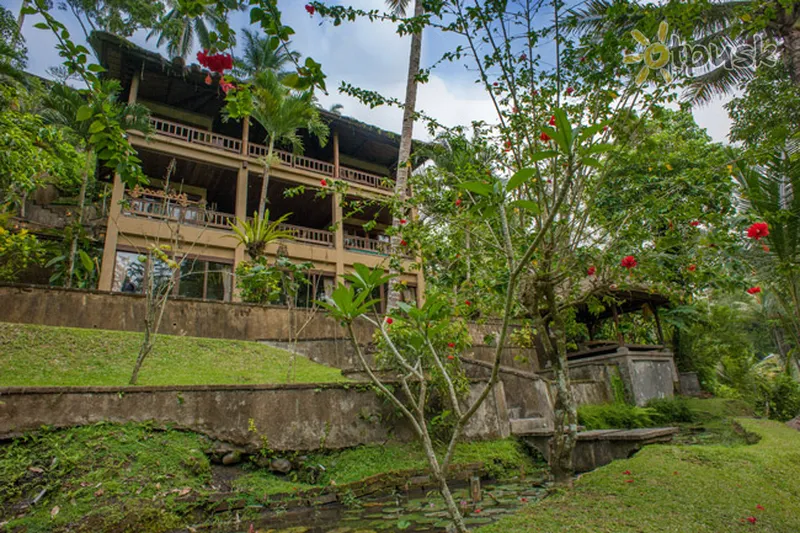 Фото отеля The Kampung Resort Ubud 3* Ubuda (Bali) Indonēzija ārpuse un baseini