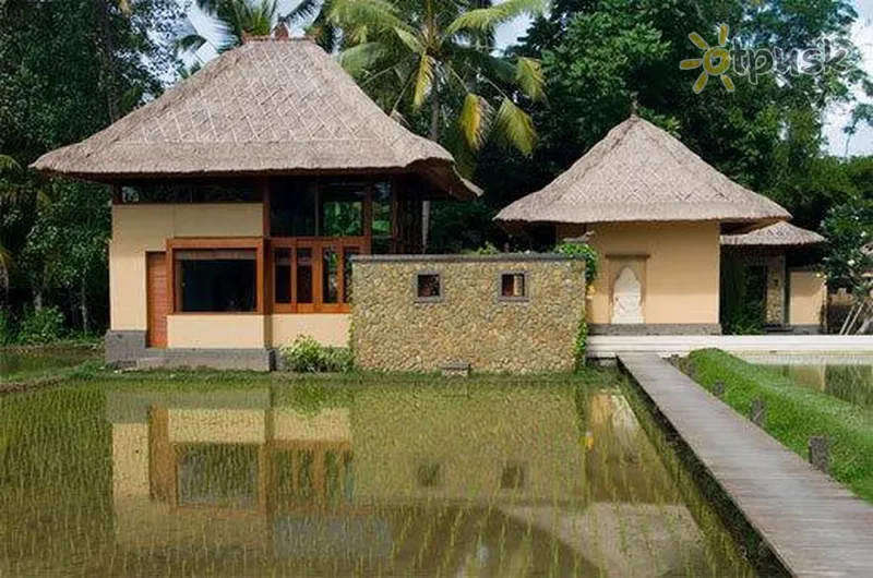 Фото отеля Pande Permai Bungalows 3* Убуд (о. Бали) Индонезия экстерьер и бассейны