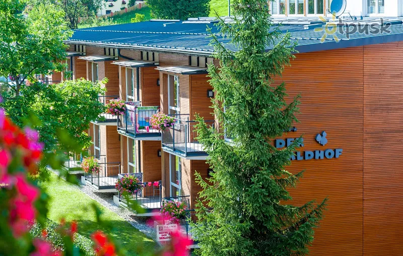 Фото отеля Der Waldhof Hotel 4* Cellamzē Austrija ārpuse un baseini