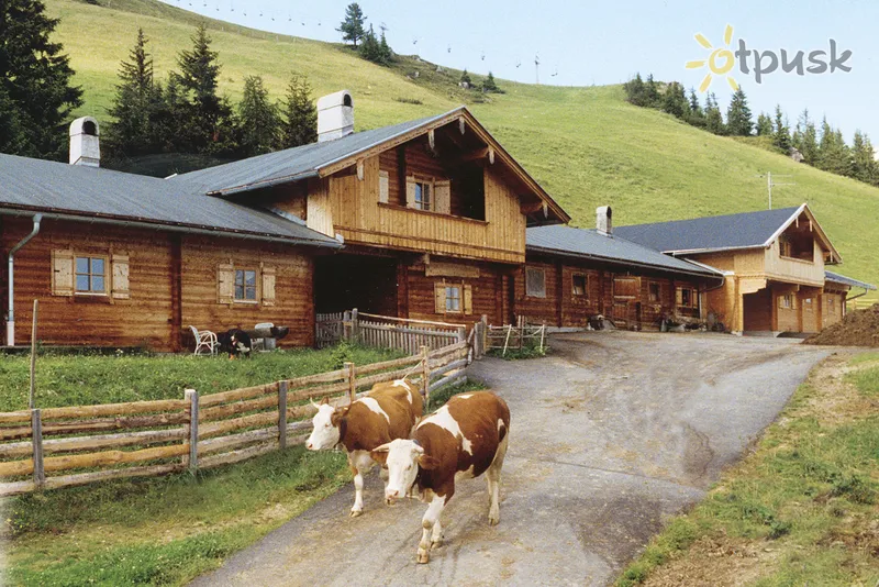 Фото отеля Kramerwirt Alpenhotel 4* Mayrhofen Austrija ārpuse un baseini