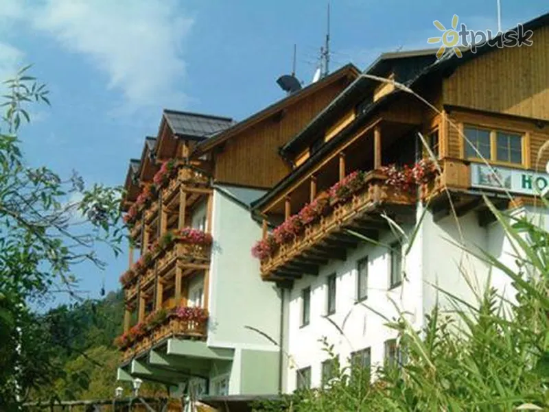 Фото отеля Schwaiger Hotel Restaurant 3* Зальцбург Австрия экстерьер и бассейны
