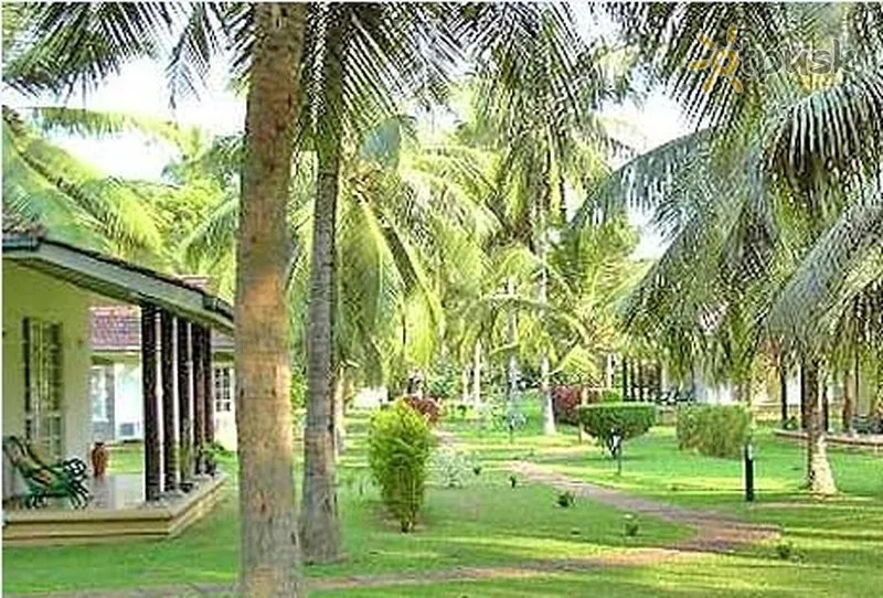 Фото отеля Tamarind Tree Hotel 3* Negombo Šrilanka ārpuse un baseini