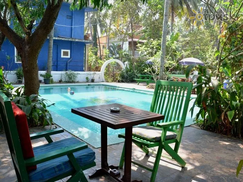 Фото отеля Villa Augusta 2* Північний Гоа Індія екстер'єр та басейни