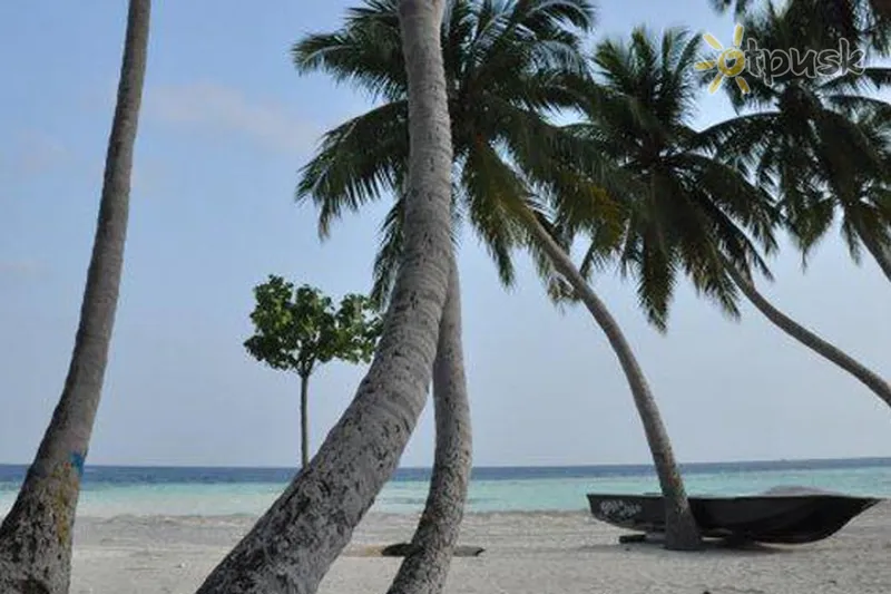 Фото отеля Island Cottage 3* Южный Мале Атолл Мальдивы пляж