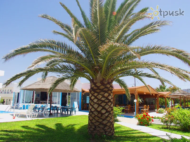 Фото отеля Blue Jay Beach Hotel 2* о. Кос Греція екстер'єр та басейни