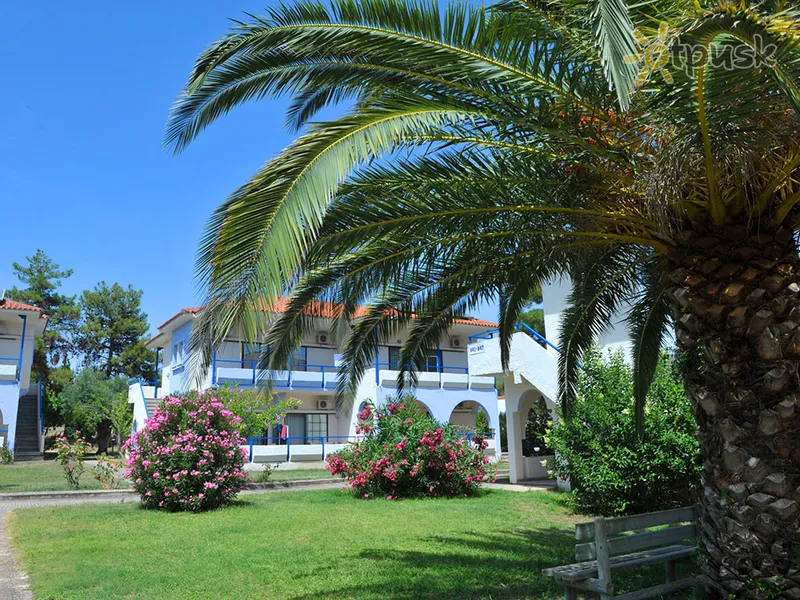 Фото отеля Olea Garden 3* Халкідікі – Сітонія Греція екстер'єр та басейни
