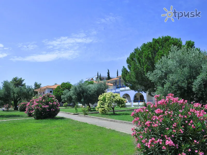 Фото отеля Olea Garden 3* Халкідікі – Сітонія Греція екстер'єр та басейни