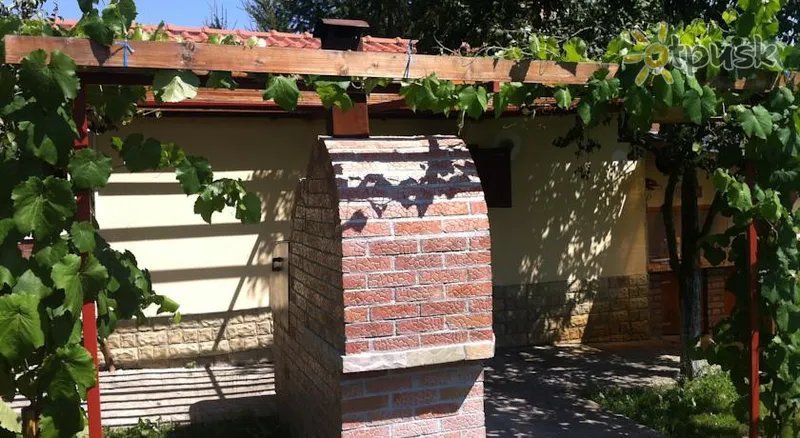 Фото отеля Pensiunea Siret 2* Galati Rumunija išorė ir baseinai