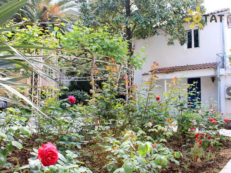 Фото отеля Villa Pansion Palma 3* Будва Чорногорія екстер'єр та басейни