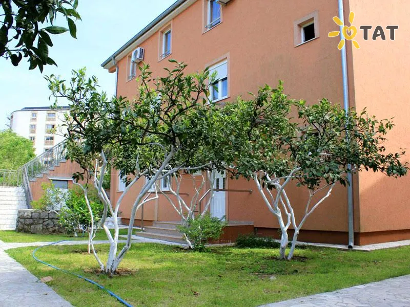 Фото отеля Villa Pansion Palma 3* Будва Чорногорія екстер'єр та басейни