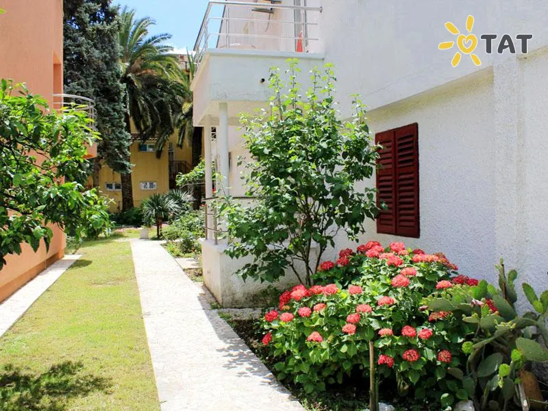 Фото отеля Villa Pansion Palma 3* Будва Чорногорія екстер'єр та басейни