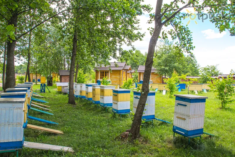 Фото отеля Пчеландия 2* Житомир Украина экстерьер и бассейны