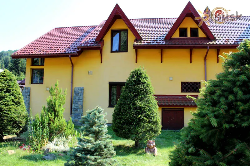 Фото отеля Соколиное Гнездо 2* Сколе Украина - Карпаты экстерьер и бассейны