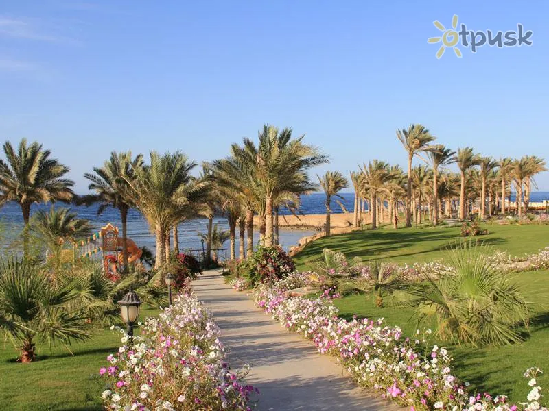 Фото отеля Brayka Lagoon Resort 4* Marsa Alamas Egiptas išorė ir baseinai