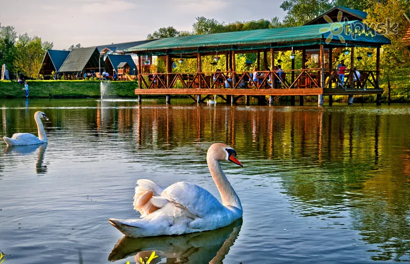 Фото отеля Глухомань 3* Полтава Україна екстер'єр та басейни