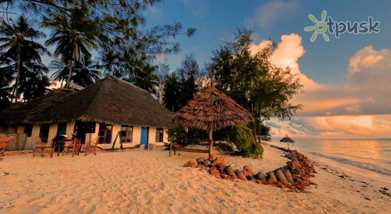 Фото отеля Ndame Beach Lodge 2* Паже Танзания пляж