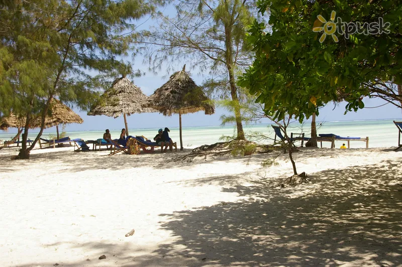 Фото отеля Ndame Beach Lodge 2* Паже Танзанія пляж