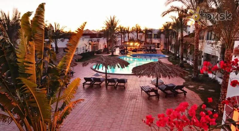 Фото отеля Ocean Club Red Sea Hotel 3* Шарм эль Шейх Египет экстерьер и бассейны