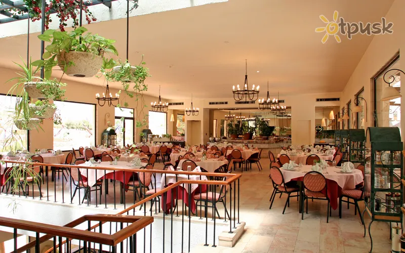 Фото отеля Petra Palace Hotel 3* Petra Jordanas barai ir restoranai