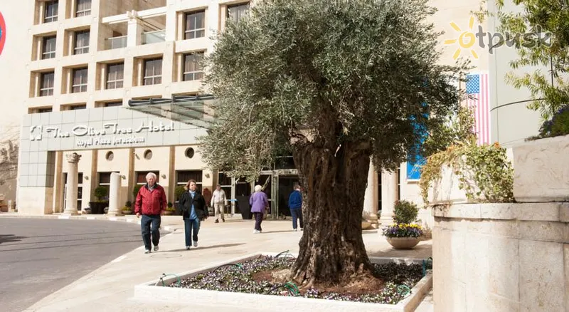 Фото отеля The Olive Tree Hotel 4* Иерусалим Израиль экстерьер и бассейны
