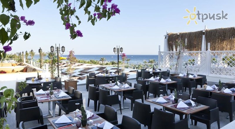 Фото отеля Paloma Oceana Resort 5* Сиде Турция бары и рестораны