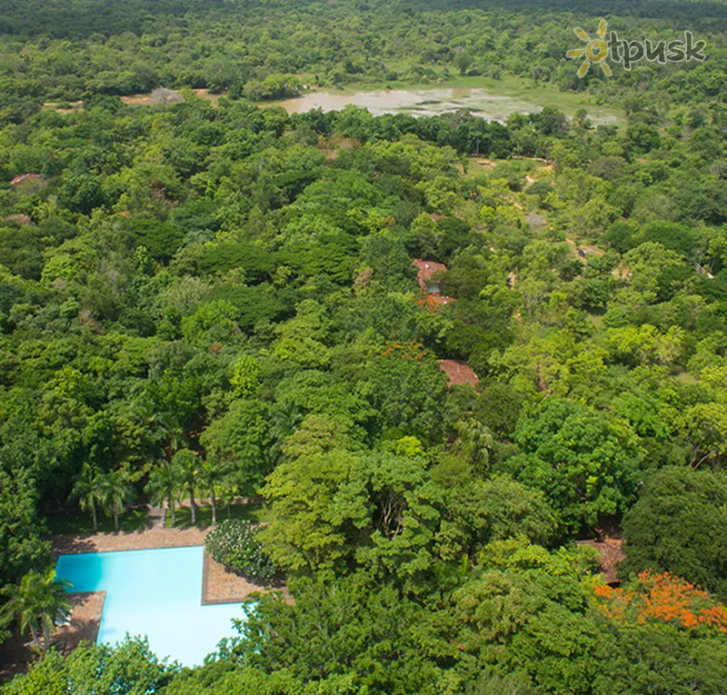 Фото отеля Palm Garden Village 3* Анурадхапура Шрі Ланка екстер'єр та басейни
