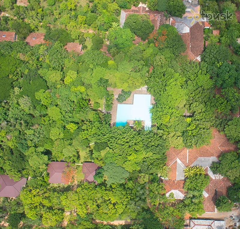 Фото отеля Palm Garden Village 3* Anuradhapura Šrilanka ārpuse un baseini