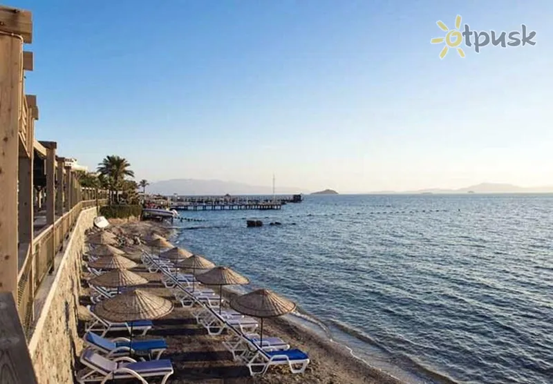 Фото отеля Ado Beach Hotel 3* Bodrumas Turkija papludimys