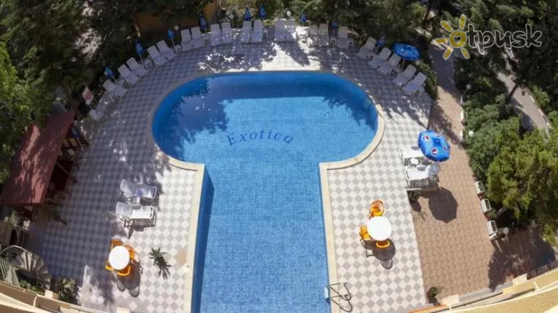 Фото отеля Exotica Hotel 3* Zelta smiltis Bulgārija ārpuse un baseini