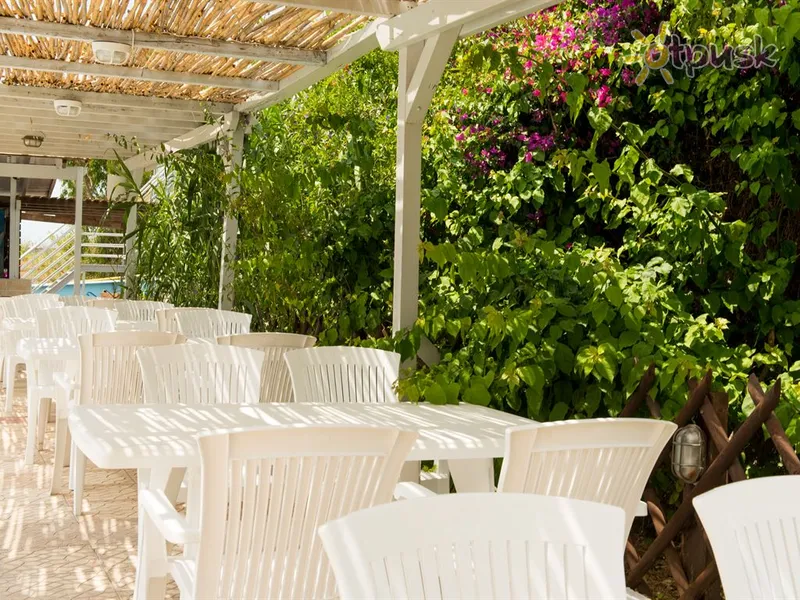 Фото отеля Vergina Hotel 3* Аттика Греція бари та ресторани