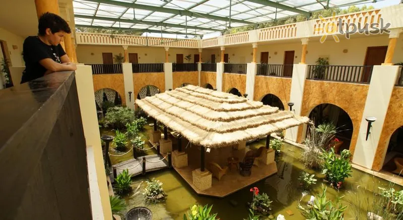 Фото отеля Africa Jade Thalasso Hotel 4* Набіль Туніс інше