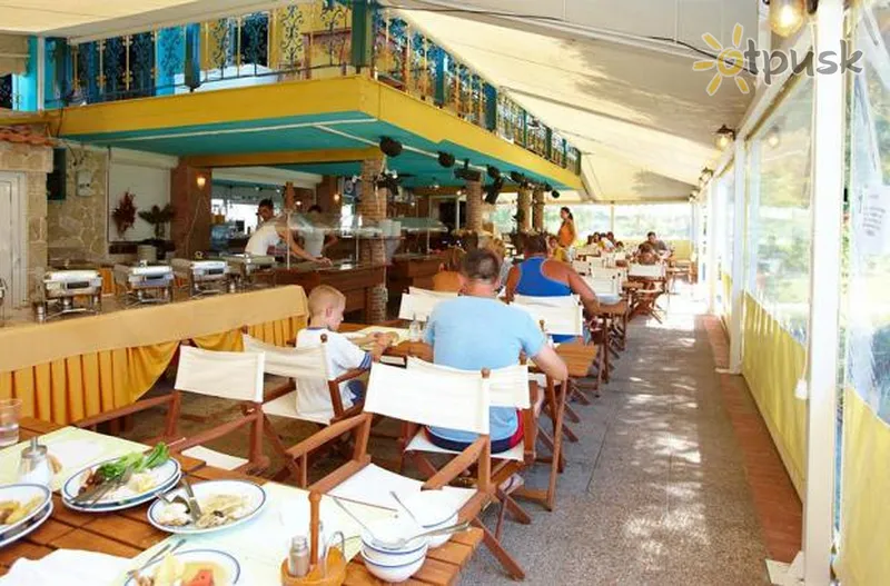 Фото отеля Dolphin Club in Grand Victoria Hotel 3* Халкидики – Кассандра Греция бары и рестораны