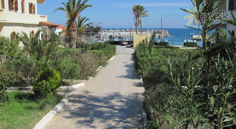 Фото отеля Thalia Villa 2* о. Крит – Агиос Николаос Греция экстерьер и бассейны
