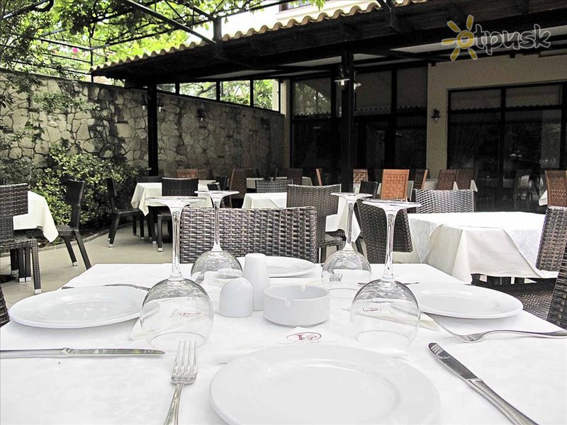 Фото отеля Lesse Hotel 4* Халкидики – Кассандра Греция бары и рестораны
