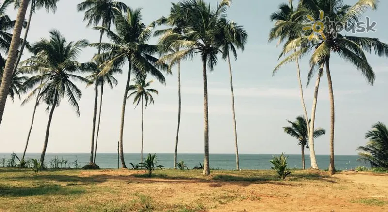 Фото отеля White Rose Beach Resort 3* Маравила Шри-Ланка пляж
