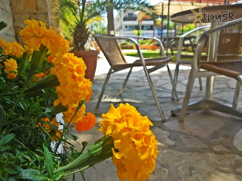 Фото отеля Estella Hotel & Apts 3* Лимассол Кипр прочее