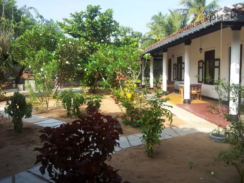Фото отеля The Danish Villa 2* Аругам-Бей Шрі Ланка екстер'єр та басейни