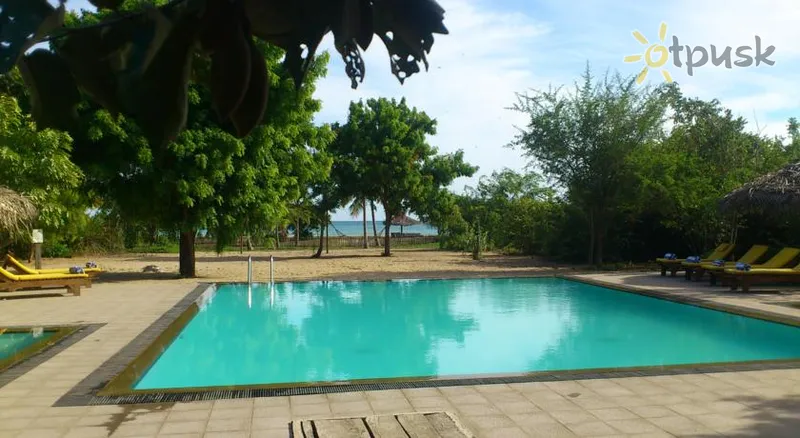 Фото отеля Giman Free Beach Resort 4* Pasikuda Šrilanka ārpuse un baseini