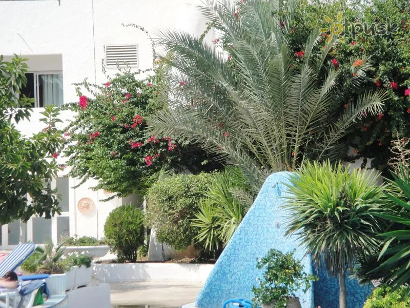 Фото отеля Hammamet Garden Resort & SPA 4* Hamametas Tunisas išorė ir baseinai