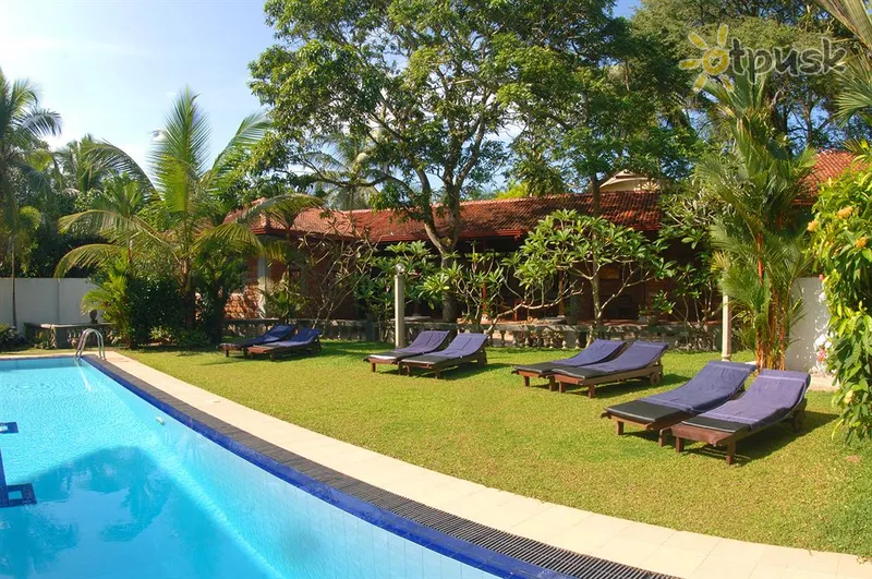 Фото отеля Panchi Villa 4* Бентота Шри-Ланка экстерьер и бассейны