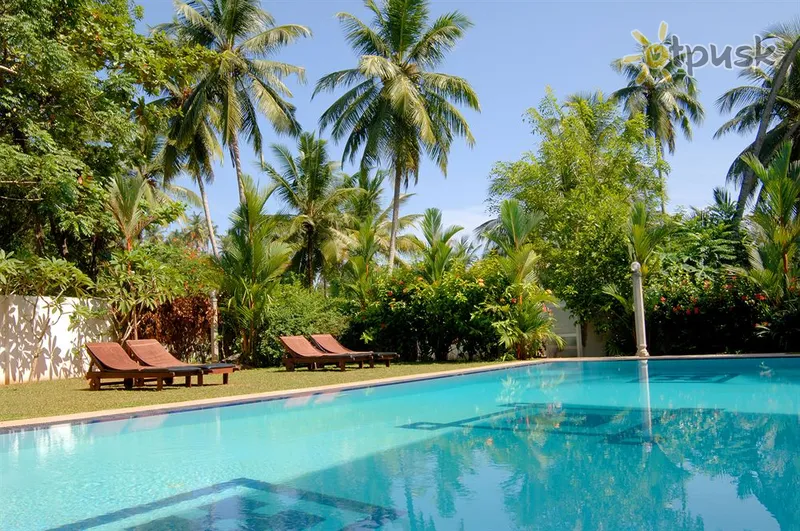 Фото отеля Panchi Villa 4* Бентота Шри-Ланка экстерьер и бассейны