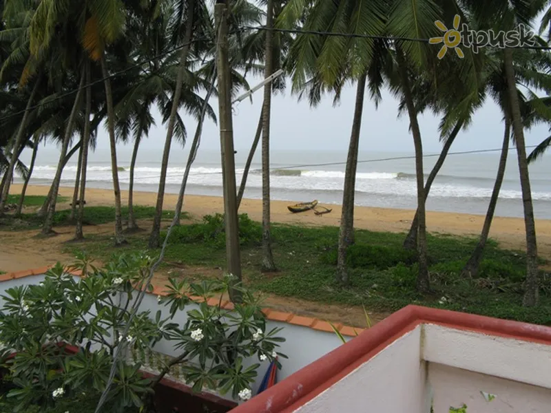 Фото отеля Petter's Beach Inn 2* Kalutara Šri Lanka papludimys