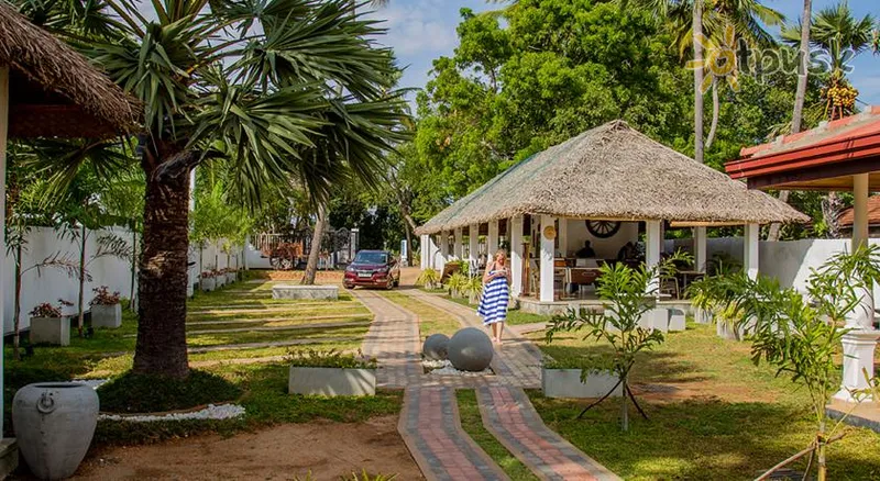 Фото отеля Palm Resort Nilaveli 3* Трінкомалі Шрі Ланка екстер'єр та басейни