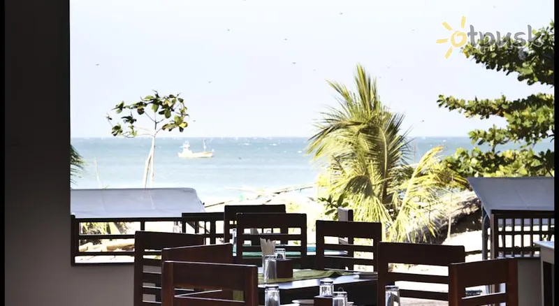 Фото отеля Bay Vista Hotel 2* Arugamo įlanka Šri Lanka barai ir restoranai