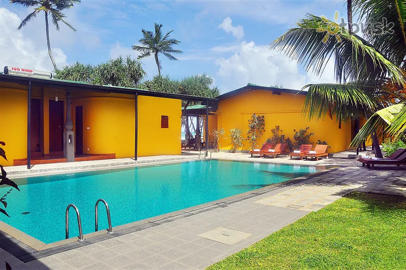 Фото отеля The Beach Cabanas Retreat & Spa 3* Коггала Шрі Ланка екстер'єр та басейни