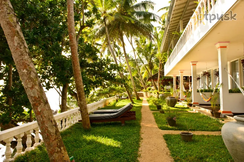 Фото отеля Number One Mirissa 3* Матара Шри-Ланка номера